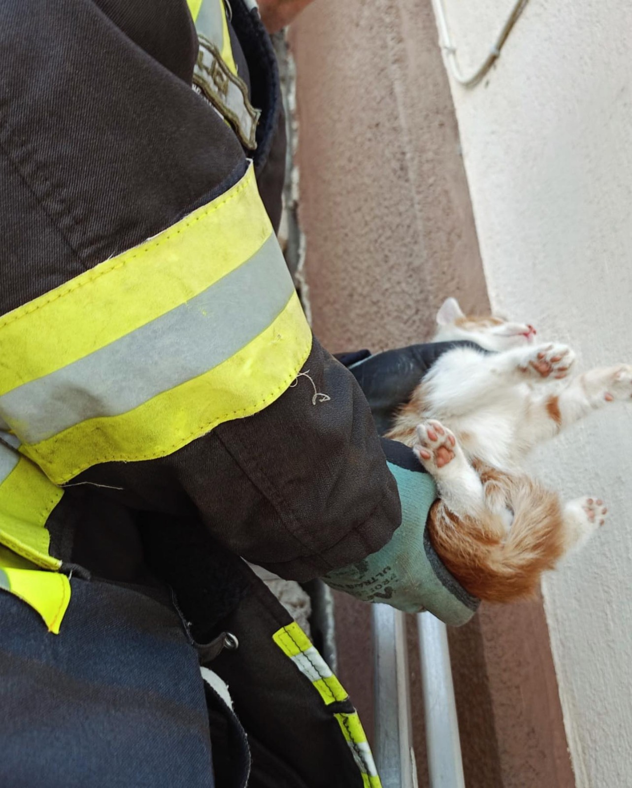 Sarıgöl'de minare ile duvar arasına sıkışan kedi kurtarıldı