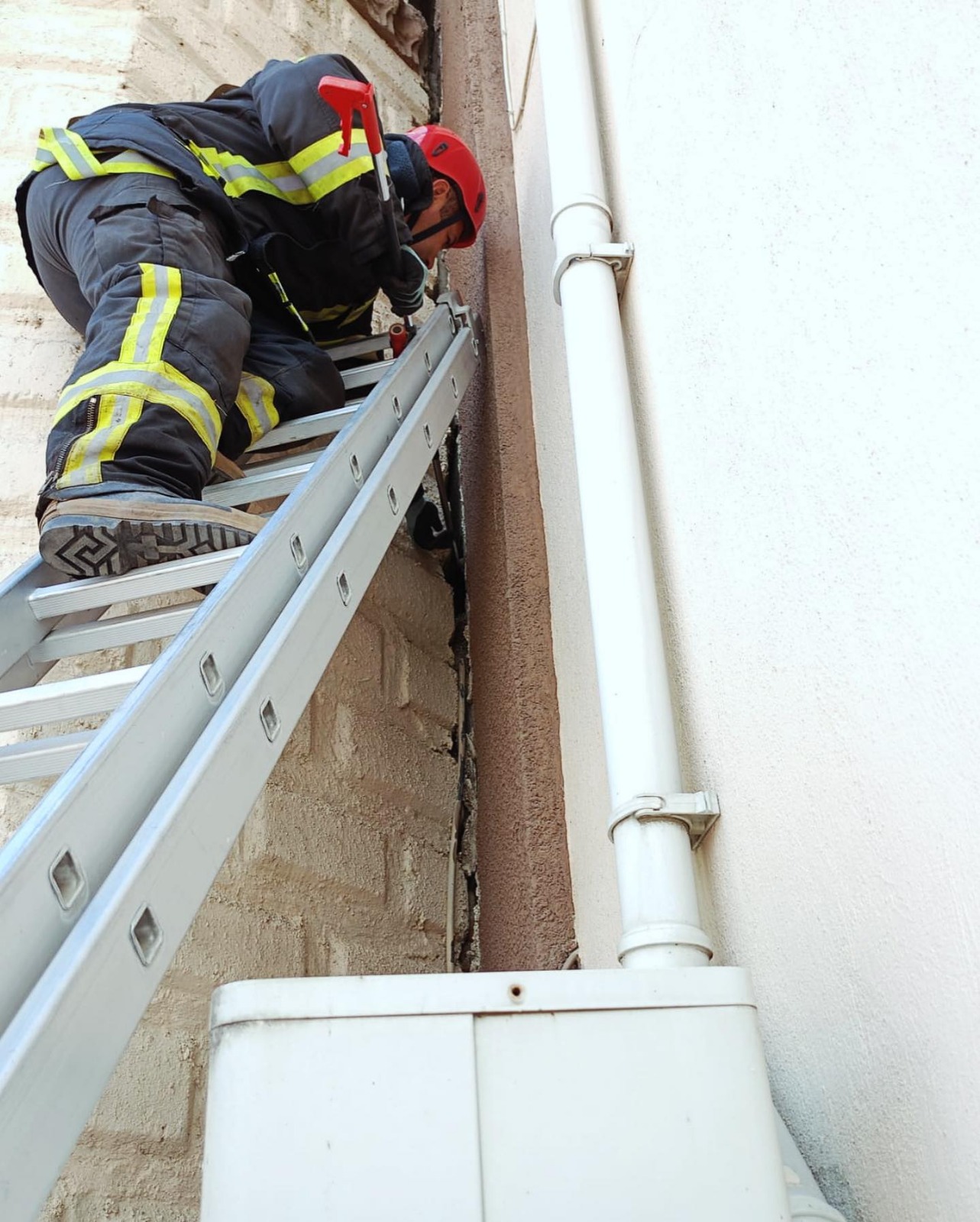 Sarıgöl'de minare ile duvar arasına sıkışan kedi kurtarıldı-1