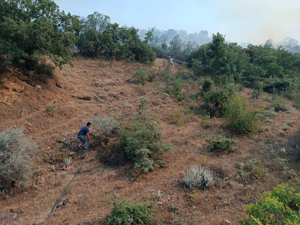 Alaşehir'de 25 hektar makilik ve orman arazisi küle döndü