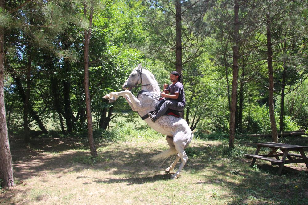 Allah kelimesine tepki veren at vatandaşların ilgi odağı oldu