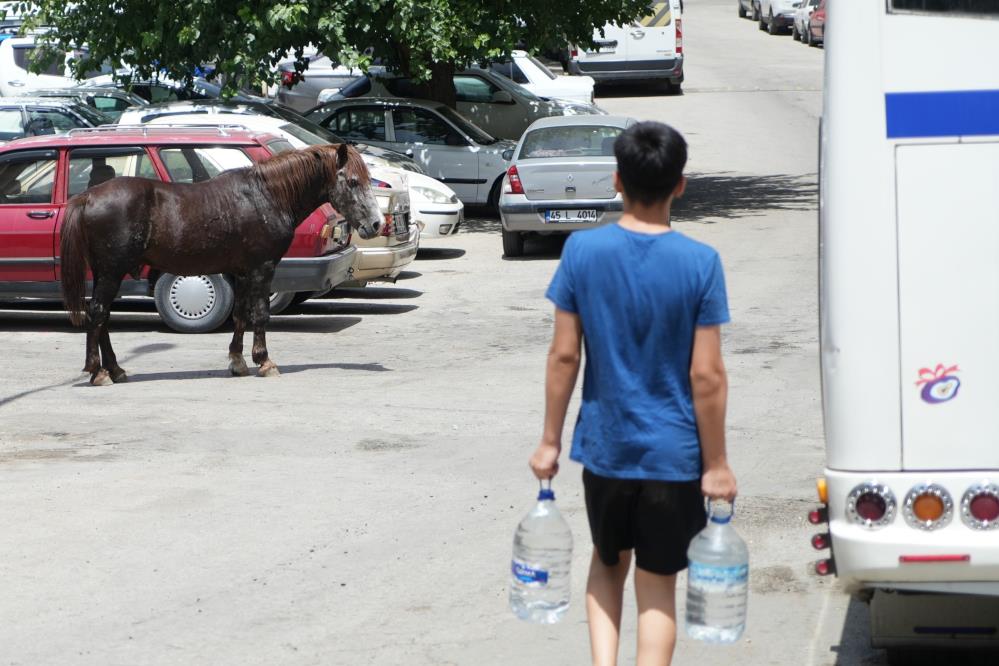 3 saatlik çabanın sonunda annesine kavuştu