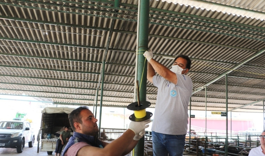 Kurban Satış Yerleri Ve Mezbahalarda Ilaçlama Çalışmaları Tamamlandı (2)