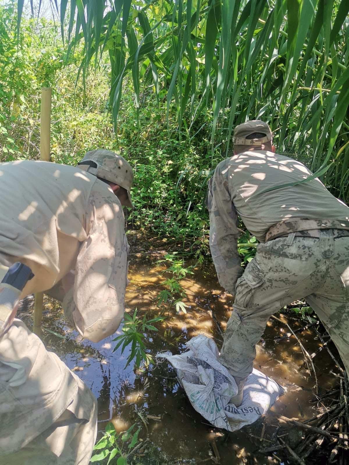 Manisa'da uyuşturucu operasyonu: 4 kişi gözaltına alındı!