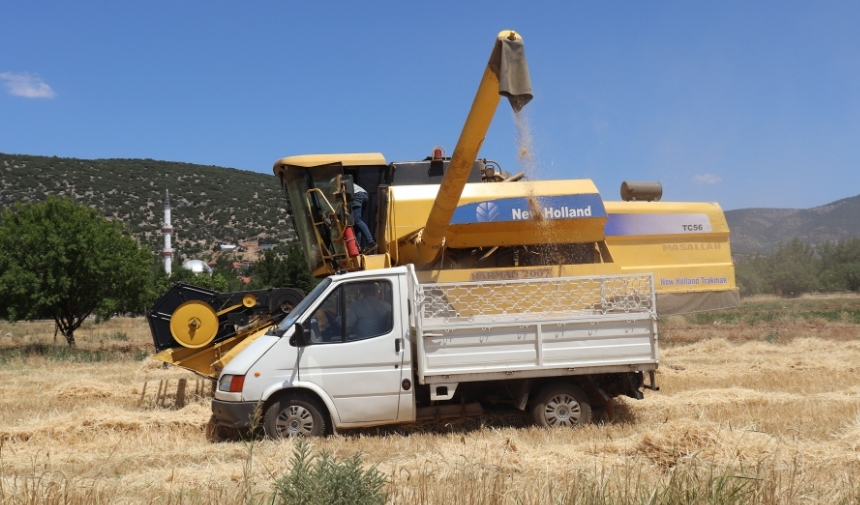 Denizli'de Tarımı Kuraklık Vurdu 11