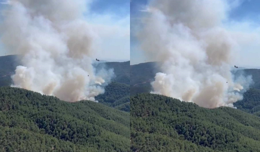 İzmir’in Bergama Ilçesinde Çıkan Orman Yangınına Havadan Ve Karadan Müdahale Ediliyor. Yangın, Saat 15.16'Da Kapukaya Mahallesi’ndeki Ormanlık Alanda Meydana Geldi. Bölgeden Dumanların Yükseldiğin (1)