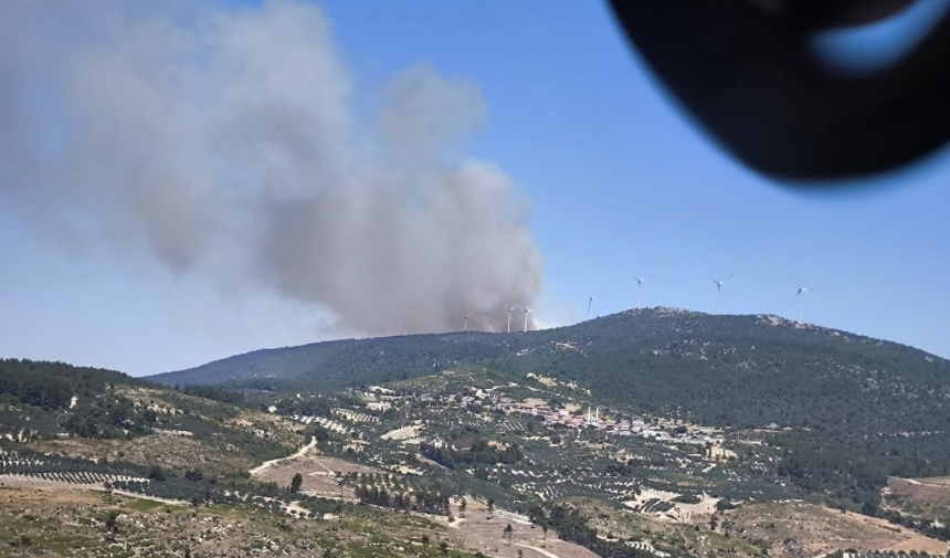 Manisa'da Orman Yangınıiiii (1)