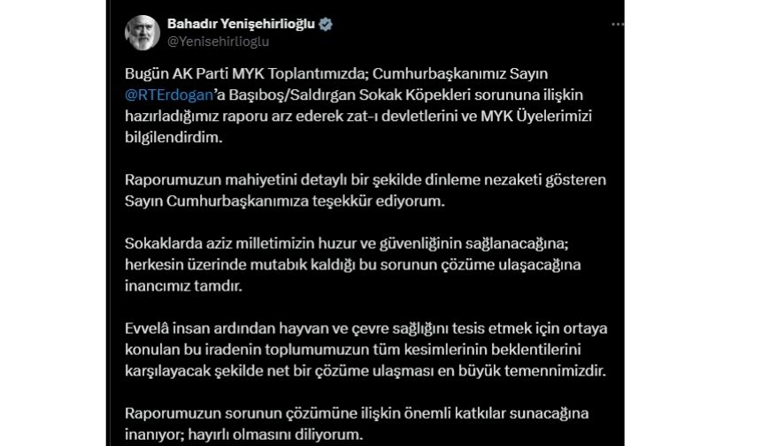 Sahipsiz Köpekler Dosyası Cumhurbaşkanı'na Verildi (1)