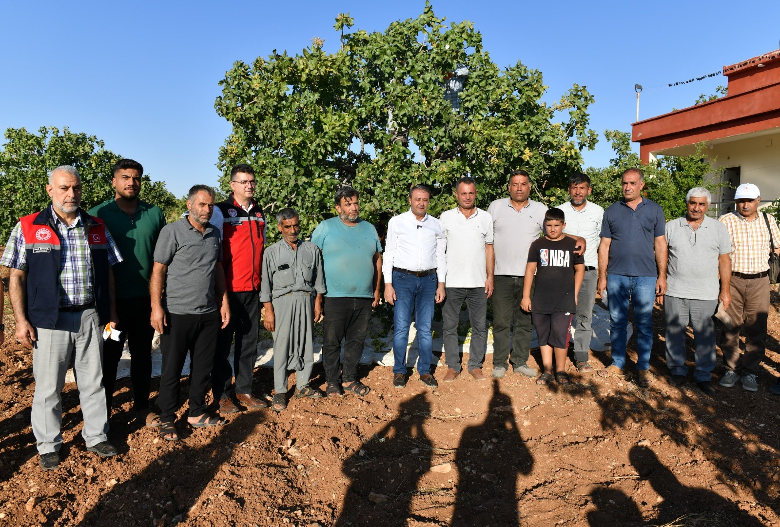 Fıstıkta rekolte yüz güldürüyor-33