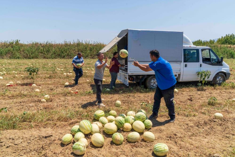 Egeli çiftçi 3 ton karpuzu Doğal Yaşam Parkı'ndaki hayvanlara bağışladı