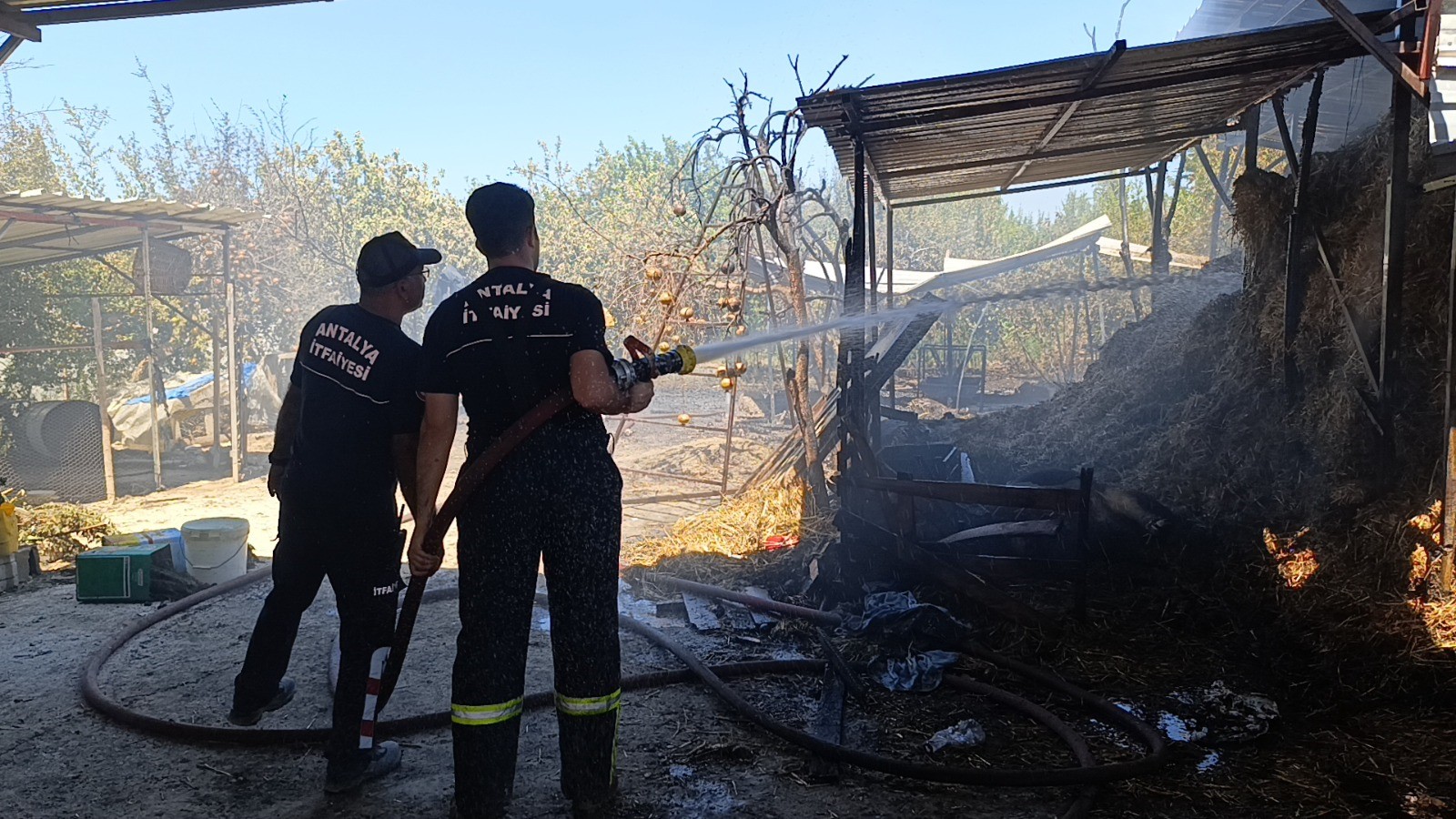 Antalya'da ahırda yangın: Çok sayıda hayvan telef oldu!-22