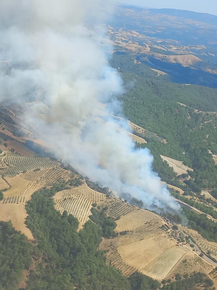 manisa'da yangın-1