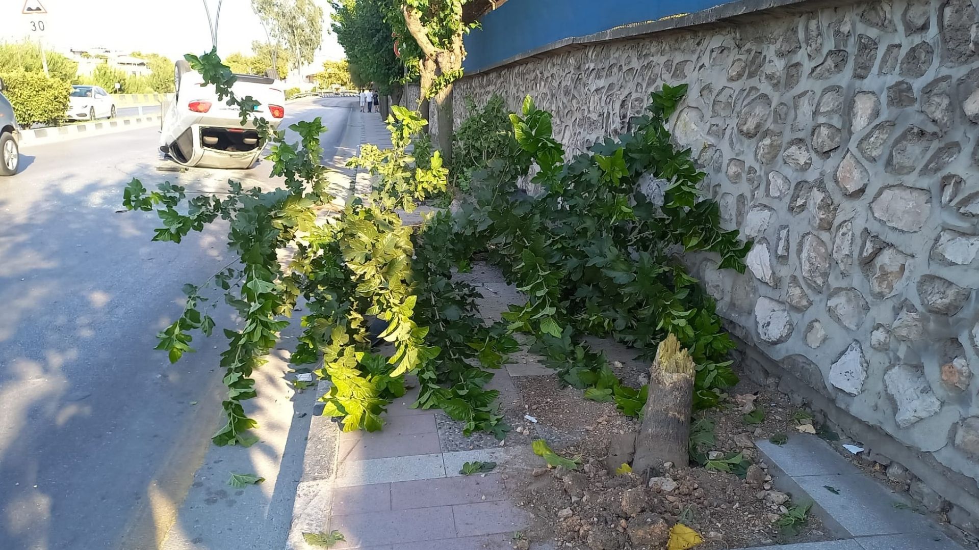 Manisa'da Otomobil Kontrolden Çıktı 4 Yaralı.jpeg