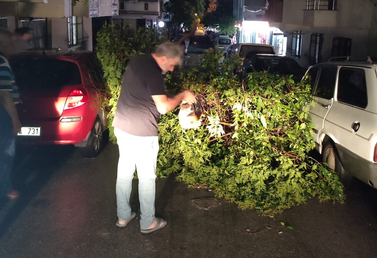 Ekipler devrilen ağaçları kaldırmak için büyük çaba harcadı-11