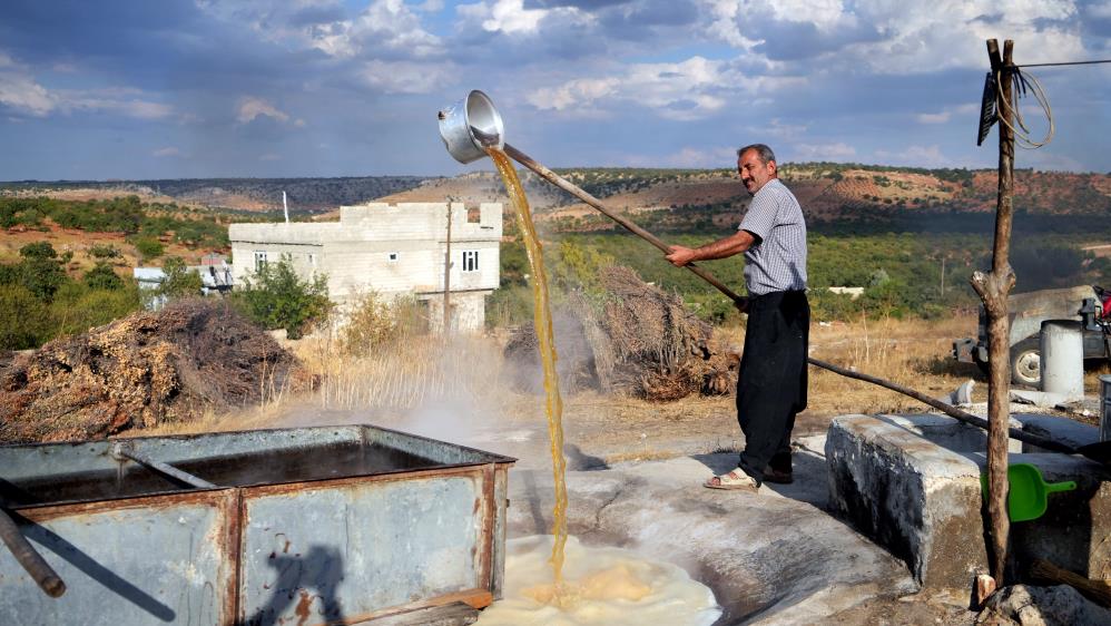 Asırlardır aynı yöntemle pekmez yapılıyorlar