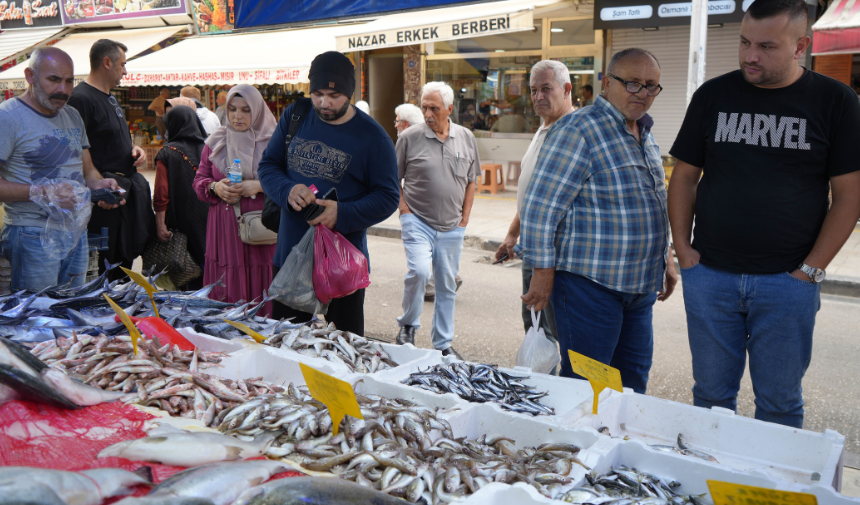 Palamut Rota Değiştirdi! Fiyatlar Katlandı 1