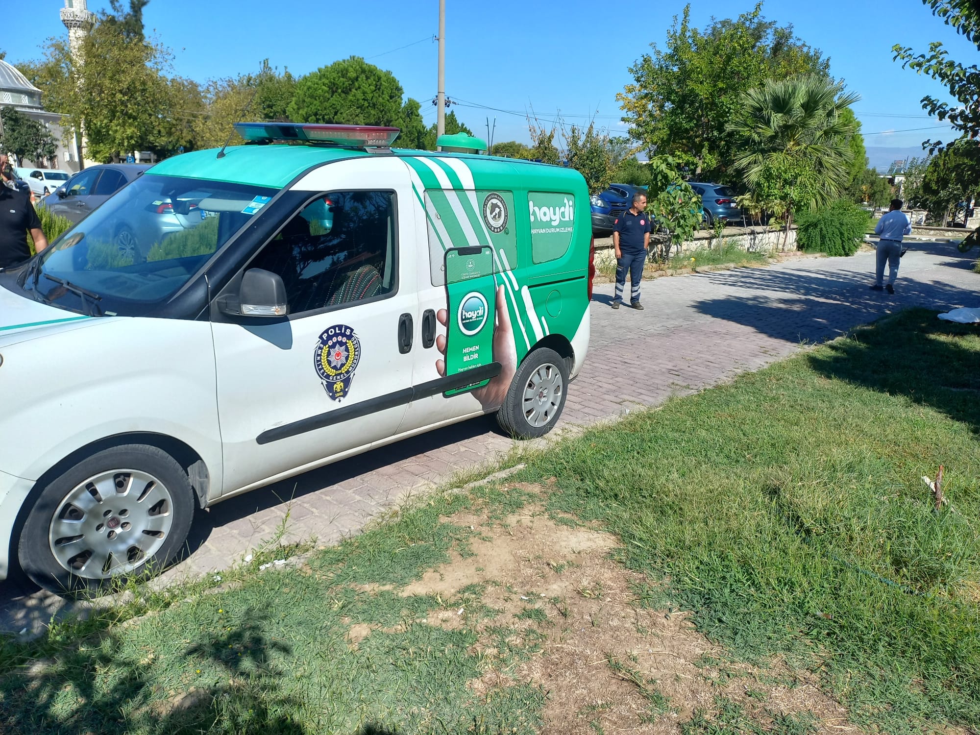 Manisa'da Vahşi Olay! 4 Bacağı kesilmiş Kedi Cesedi Bulundu-1