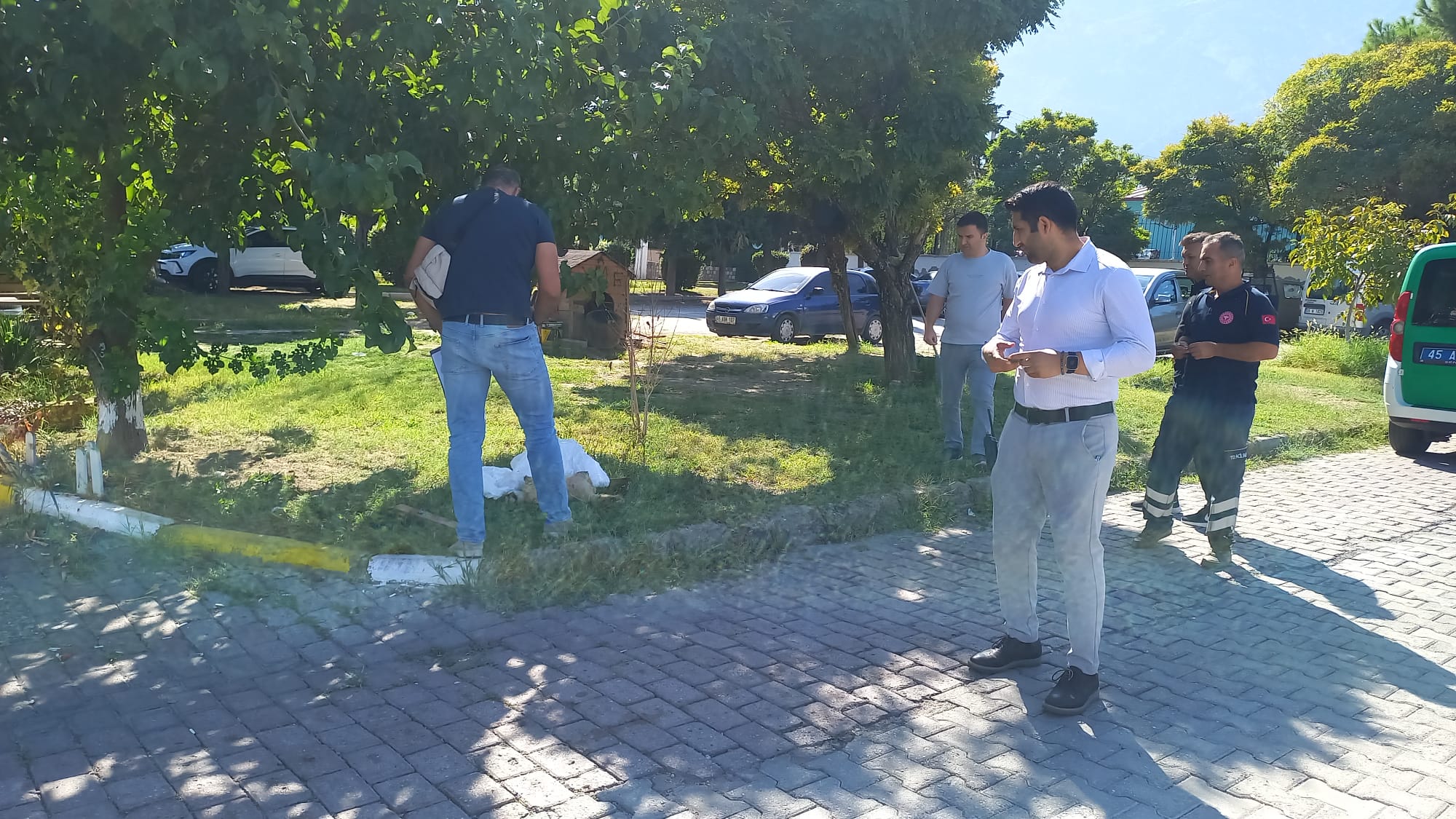 Manisa'da Vahşi Olay! 4 Bacağı kesilmiş Kedi Cesedi Bulundu-2