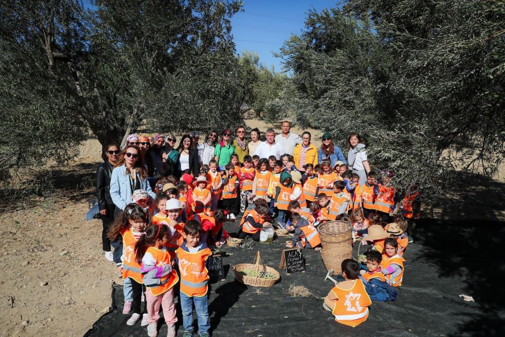 İzmir'de minik öğrenciler zeytin hasadı yaptı!-1