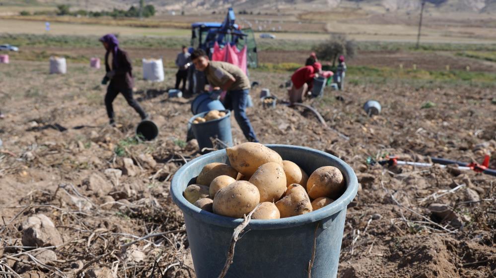 Çiftçi 2 liraya satarken tüketici 10 liraya alıyor