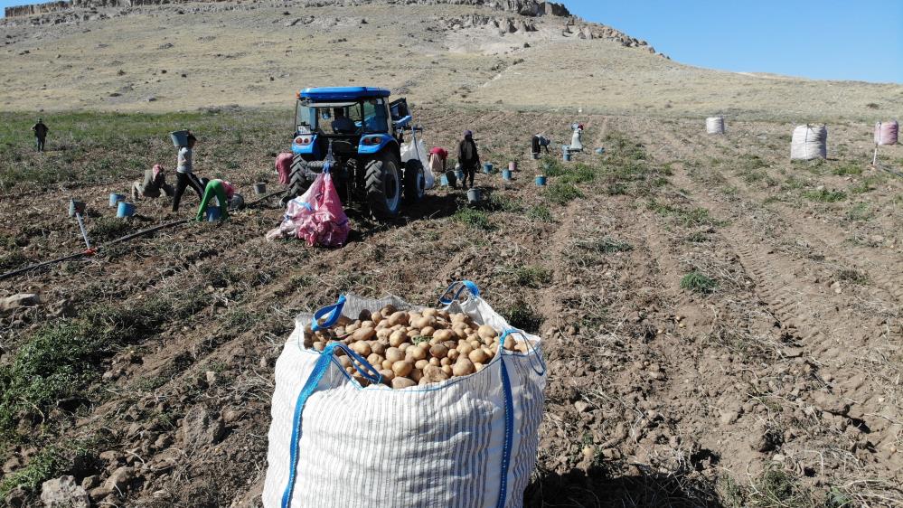 Çiftçi 2 liraya satarken tüketici 10 liraya alıyor