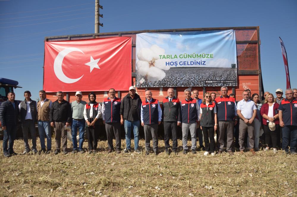 Türkiye'nin pamuk üssü Denizli'de hasat zamanı