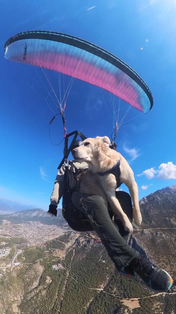 Manisalı öğretmen köpeğiyle bin 700 metreden atladı-1