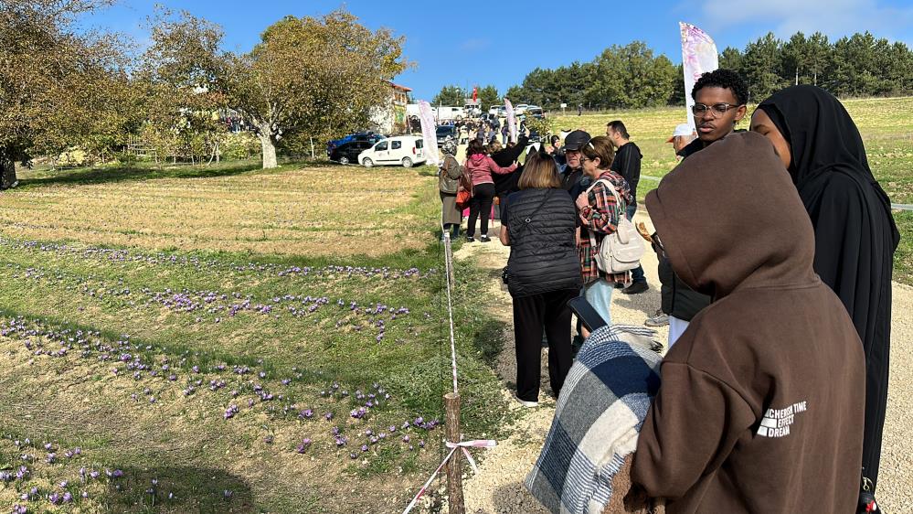 Yerli ve yabancı turistler safran hasadında bir araya geldi