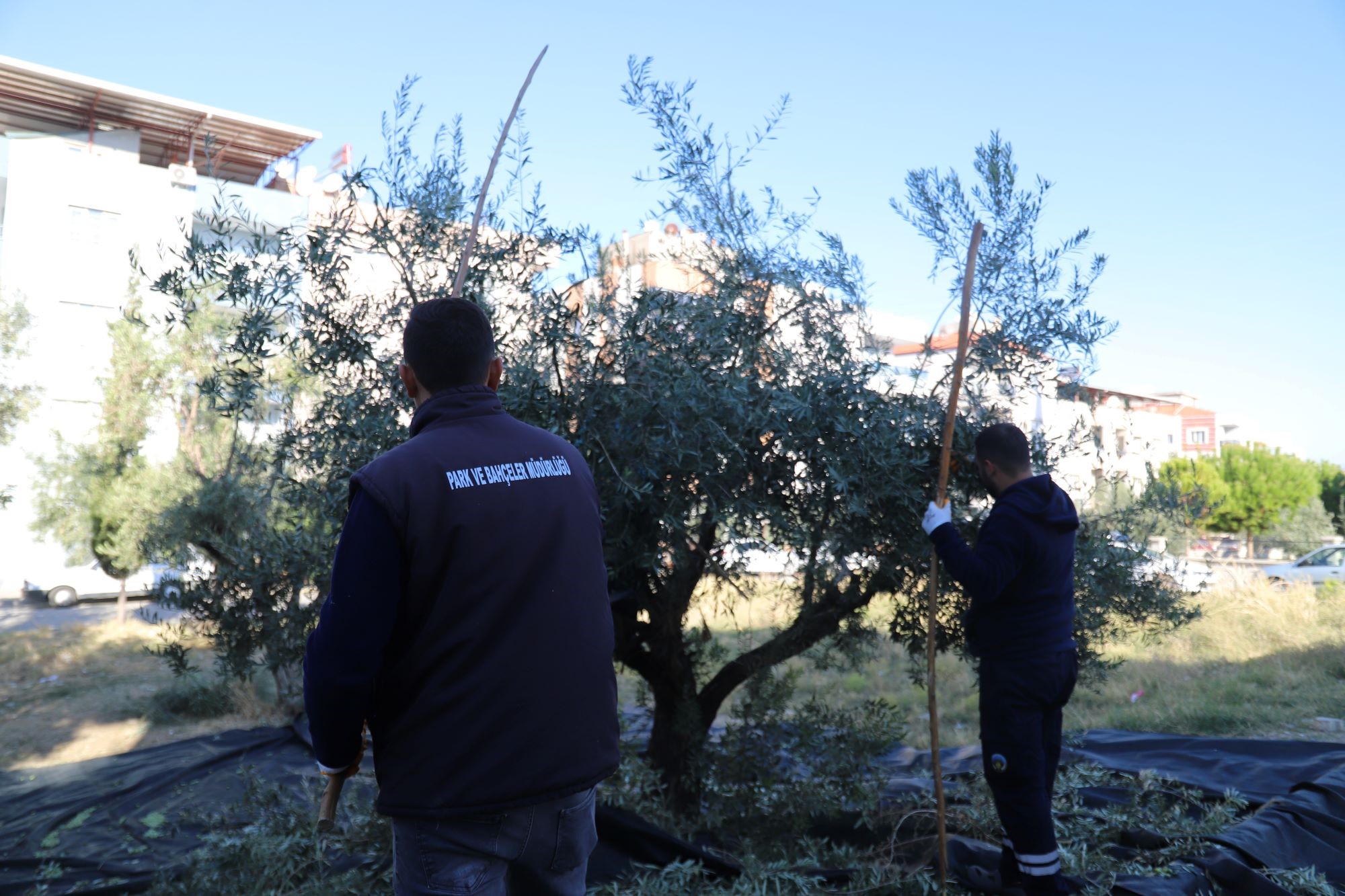 Manisa'da belediyeden örnek davranış-2