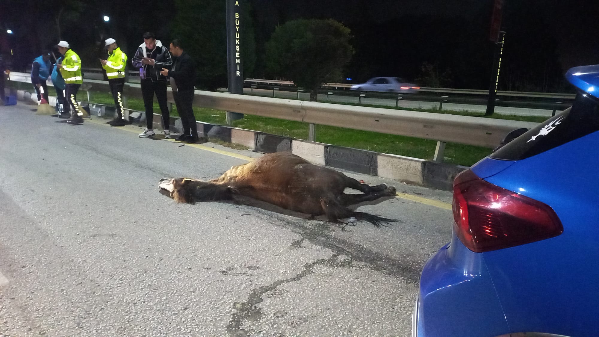 Manisa'da yılkı atına çarpan otomobildeki 3 kişi yaralandı