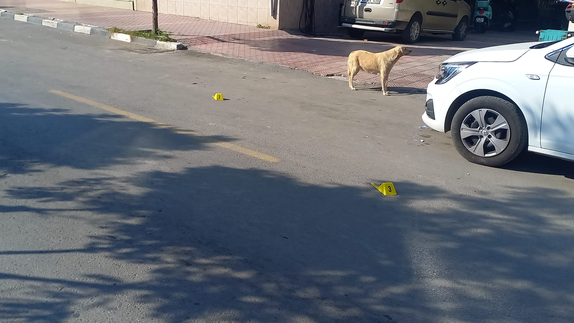 Manisa'da Havaya Defalarca Ateş Açan Kişi Gözaltına Alındı (3)