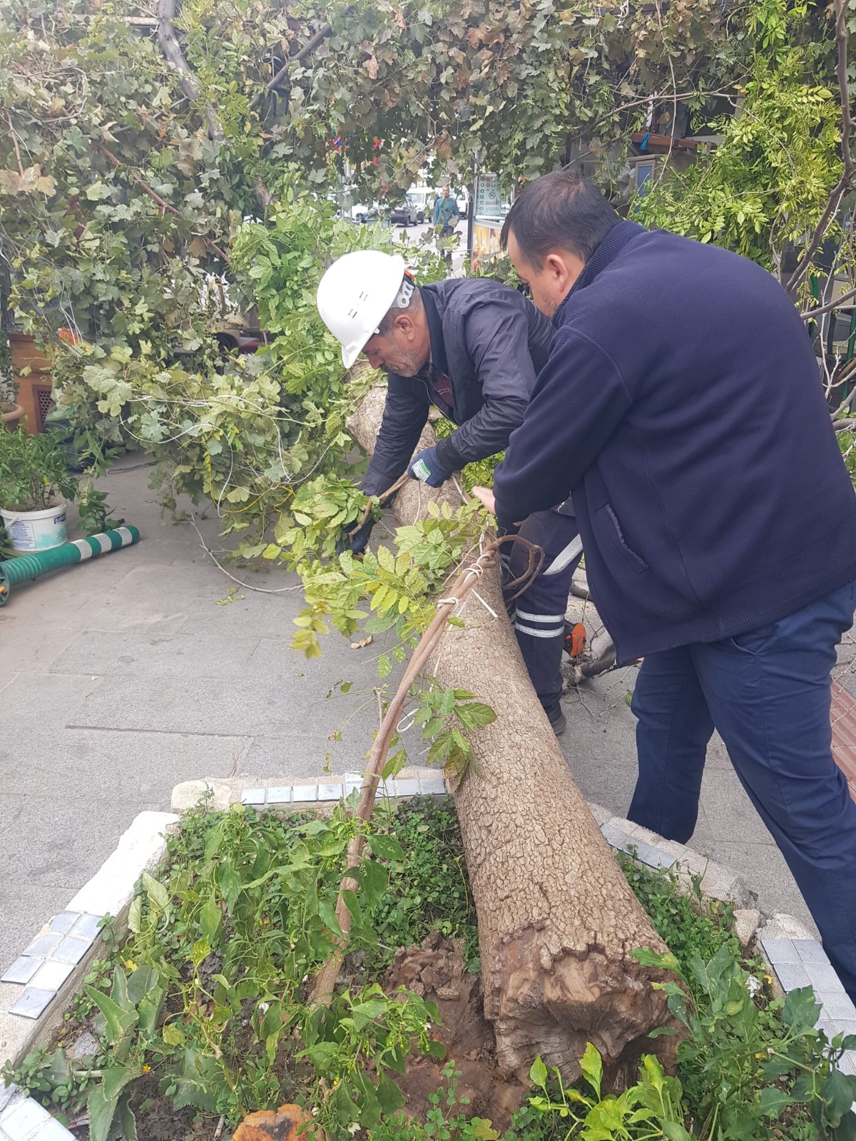 Manisa'da kuvvetli rüzgar hayatı olumsuz etkiledi!