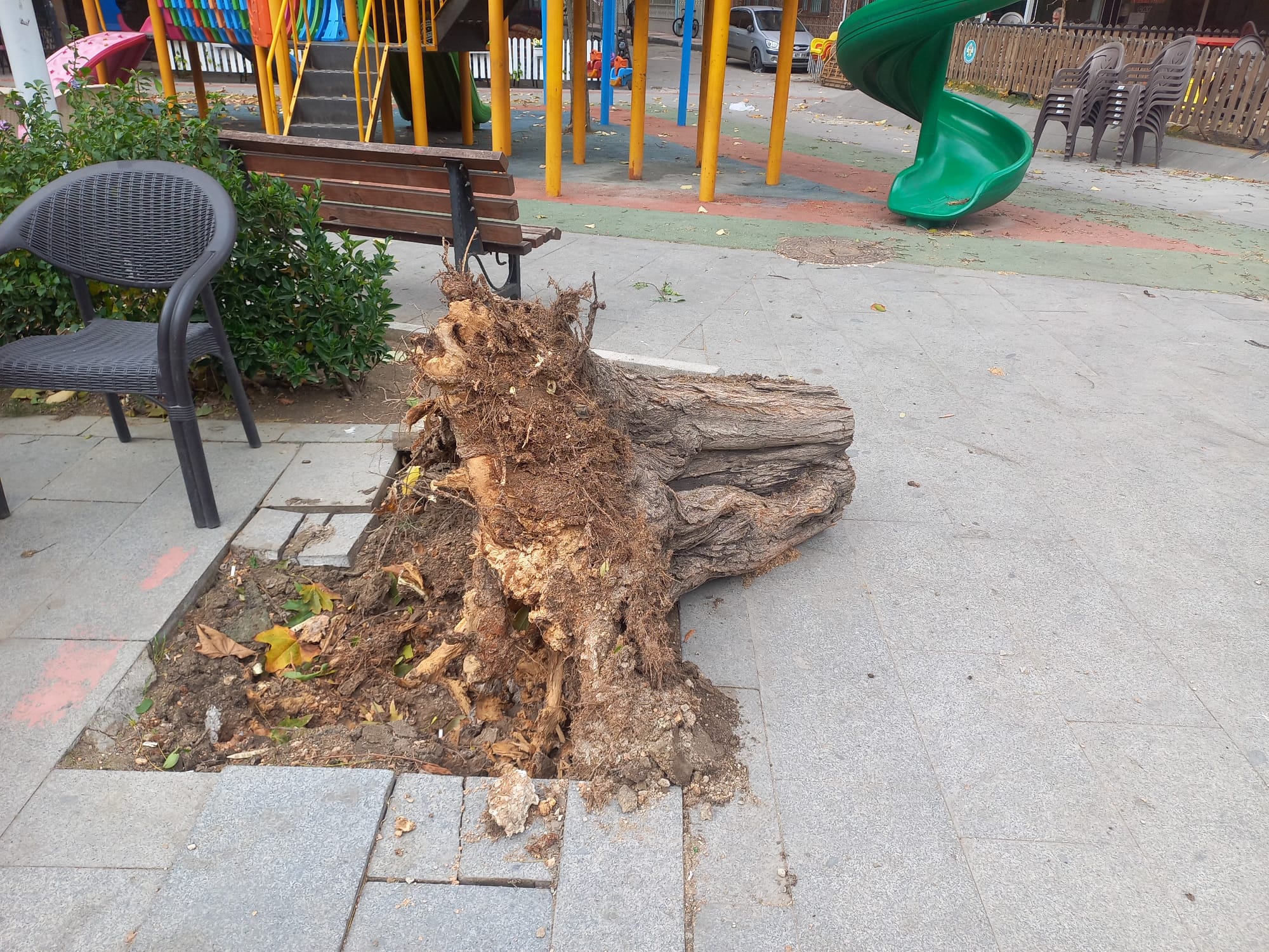 Manisa'da kuvvetli rüzgar hayatı olumsuz etkiledi!