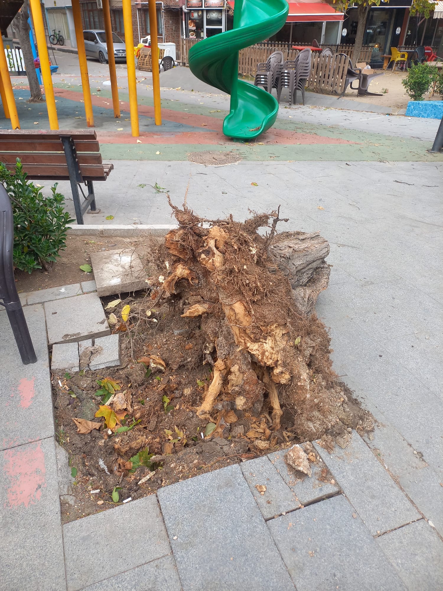 Manisa'da kuvvetli rüzgar hayatı olumsuz etkiledi!