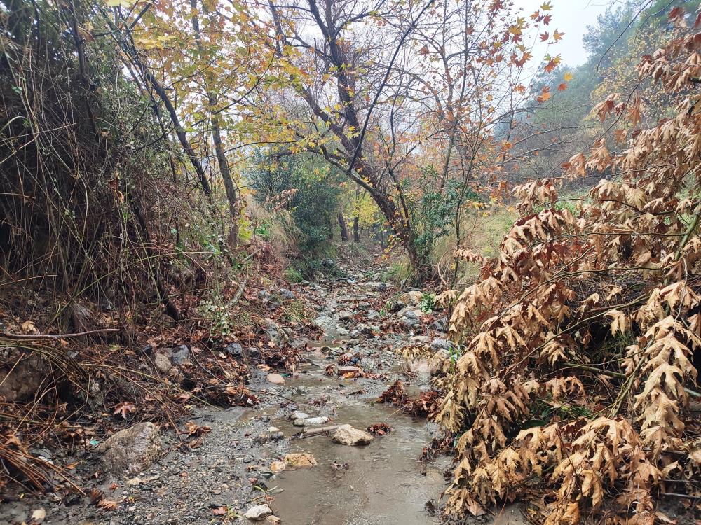 - Mesir Tabiat Parkında eşsiz manzaralar