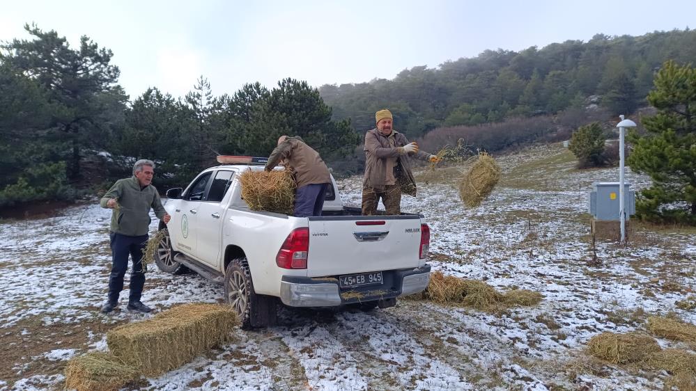 Milli Parklar Müdürlüğü Spil'de yaban hayvanları için doğaya yem bıraktı