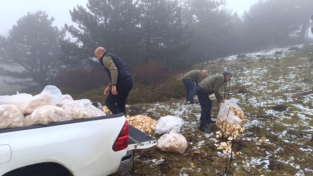 Milli Parklar Müdürlüğü Spil'de yaban hayvanları için doğaya yem bıraktı