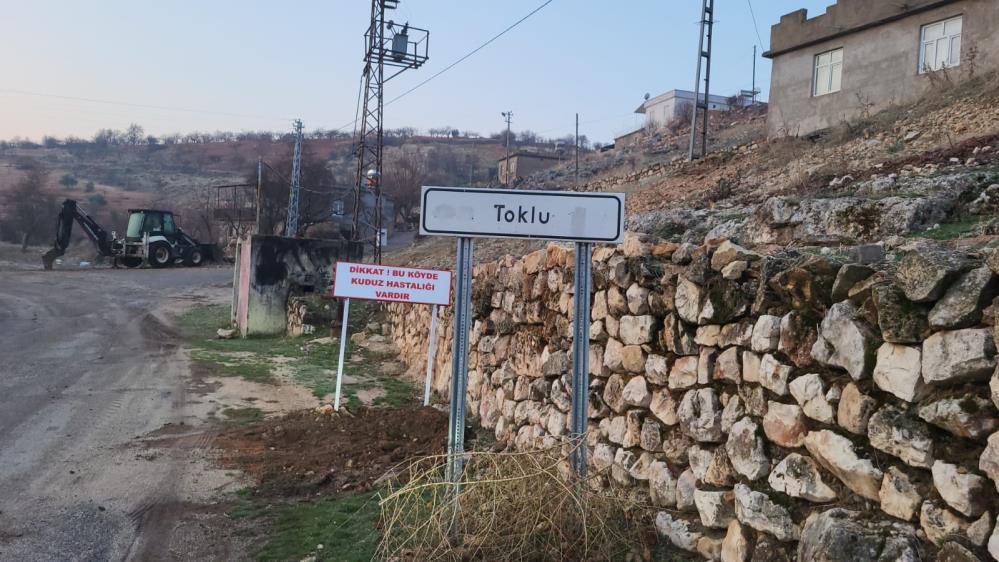 Adıyaman'ın köyünde kuduz alarmı! Köy karantinaya alındı-1