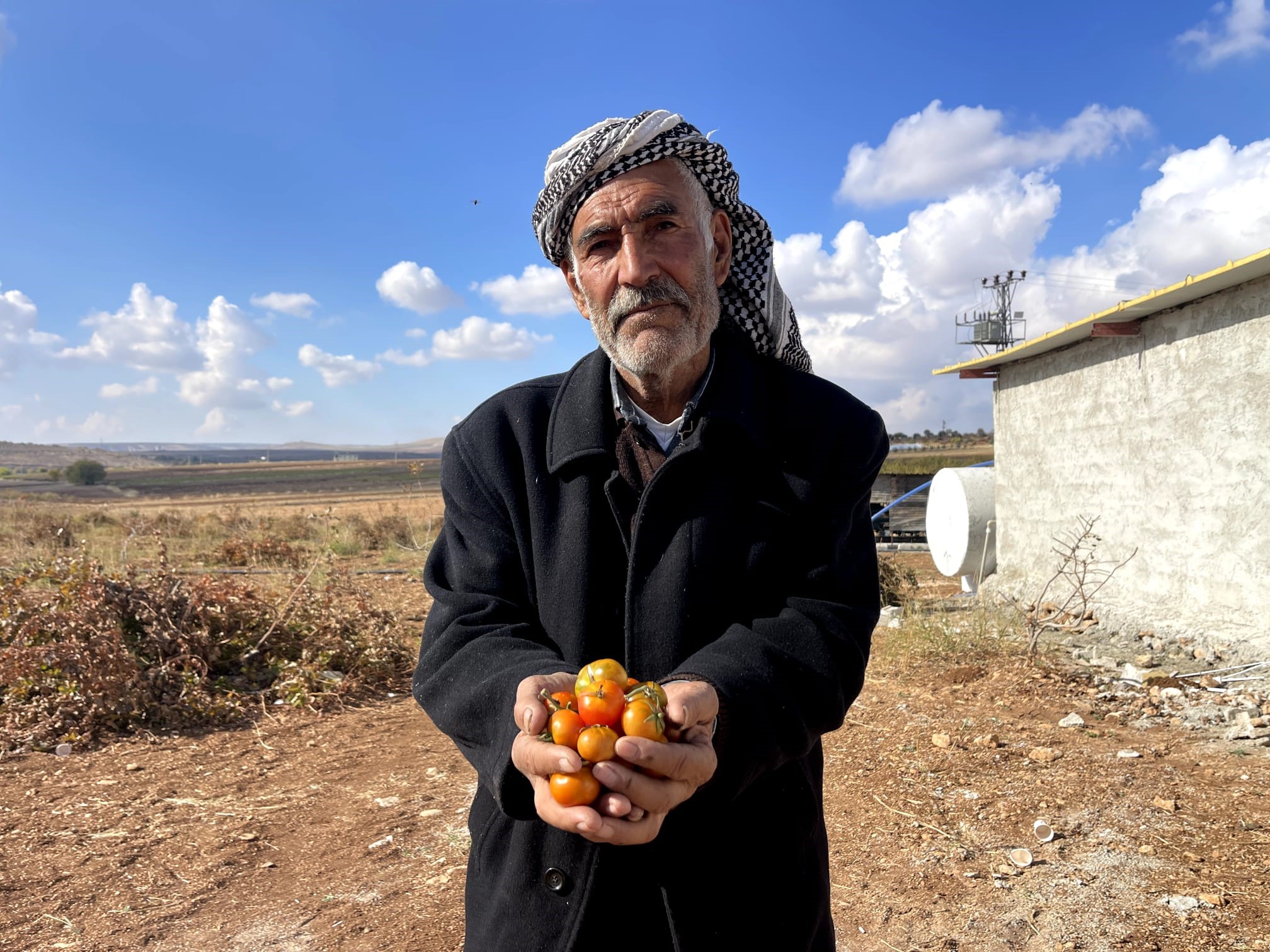 Susuz yetişiyor, kışın yeniyor! Koruma altına alınacak-2