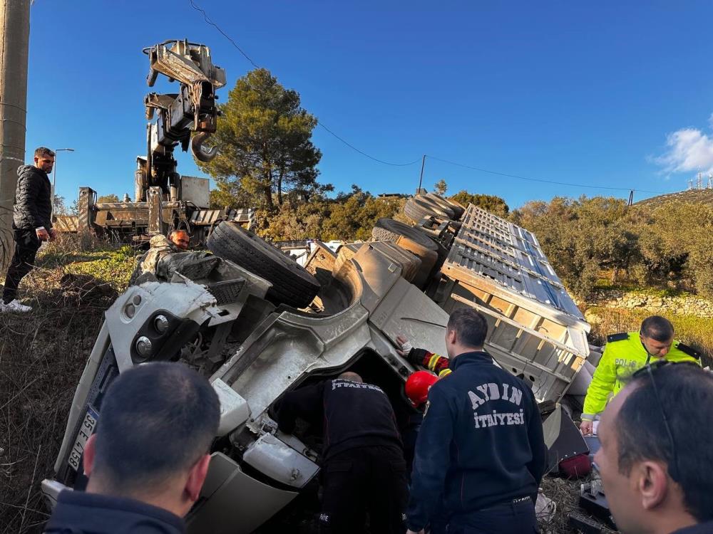 Aydın'da yem yüklü tır tarlaya uçtu: 1 ölü 3 yaralı