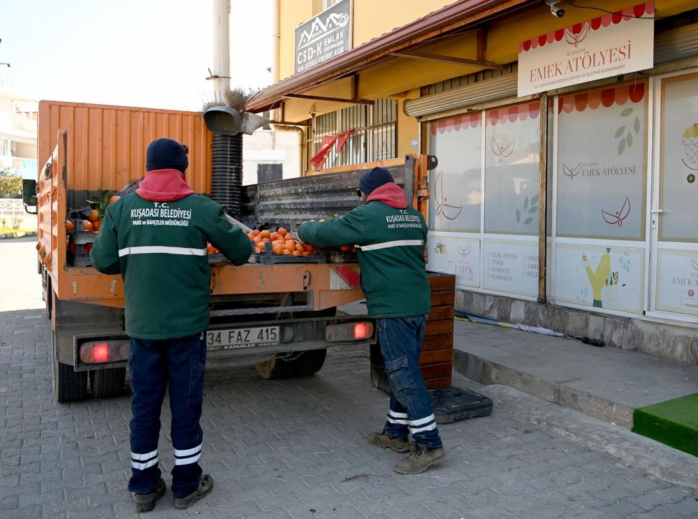 turunç meyvesinin en tatlı yolculuğu başladı