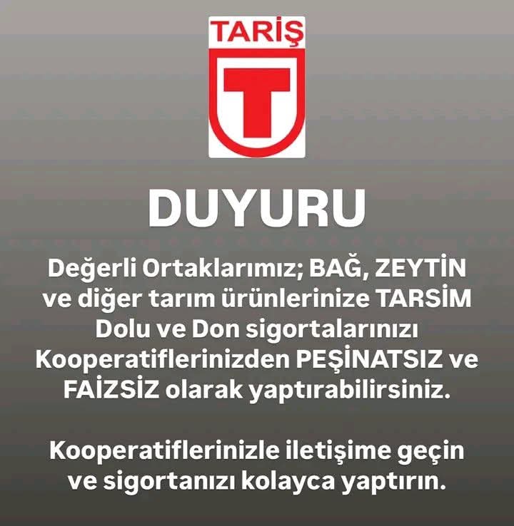 Whatsapp Image 2025 02 05 At 12.59.08 (1)