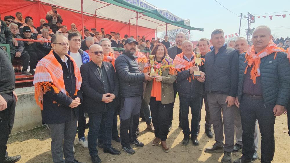 Atça'daki sezonun son deve güreşine yoğun ilgi