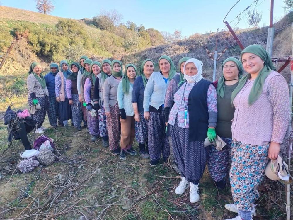 Sarıgöl'de  tarım işçisi kadınlar 8 Mart'ı bağda kutladı!