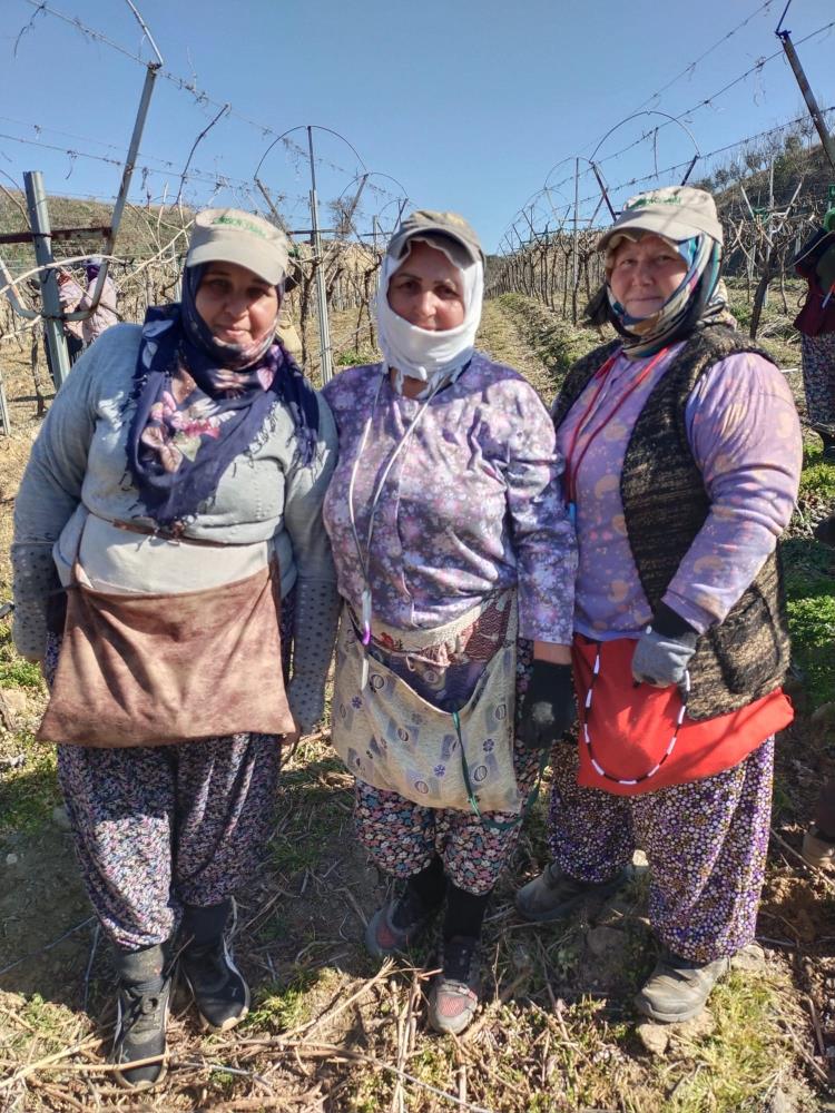 Sarıgöl'de  tarım işçisi kadınlar 8 Mart'ı bağda kutladı!