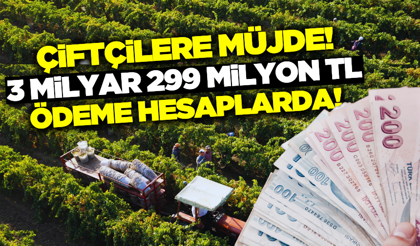 Tarım ve Orman Bakanlığı duyurdu: 3 milyar 299 milyon TL destek ödemesi hesaplarda!