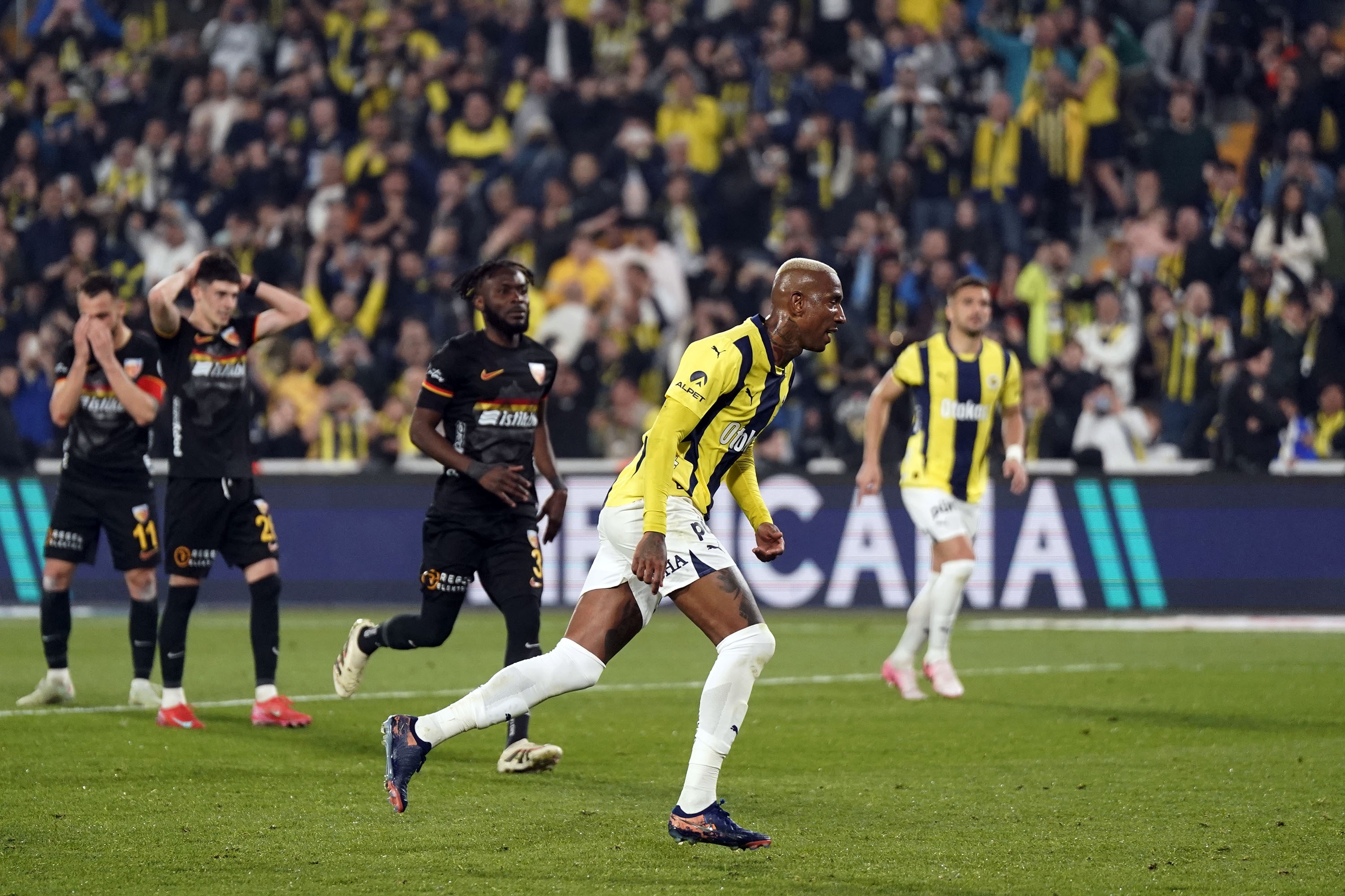 talisca fenrbahçe