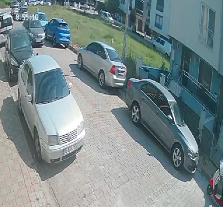 Sokak köpekleri yine can yaktı-1