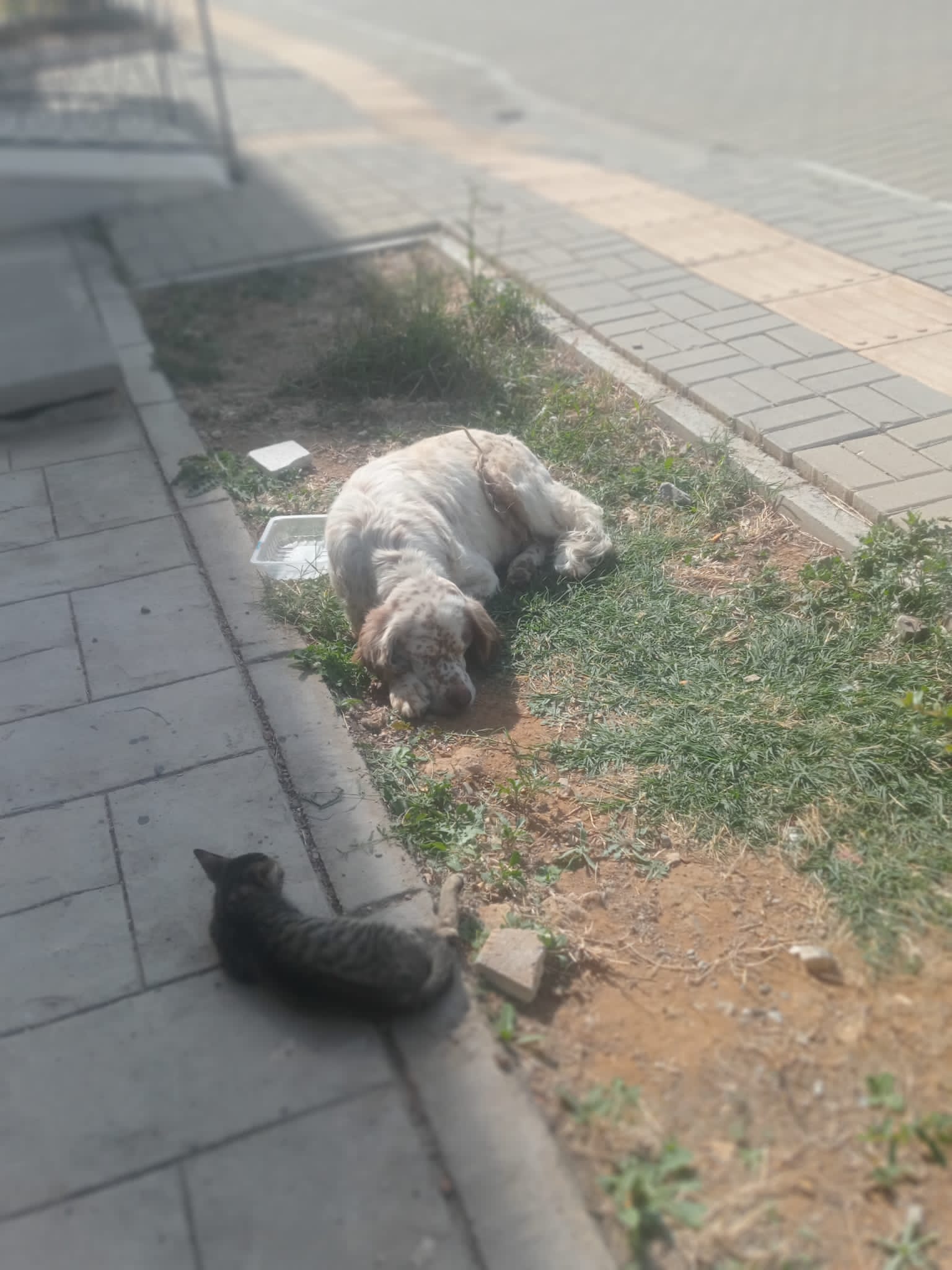 Whatsapp Image 2025 04 29 At 16.48.13