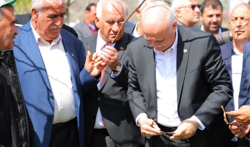 Çiftçi Don (1)
