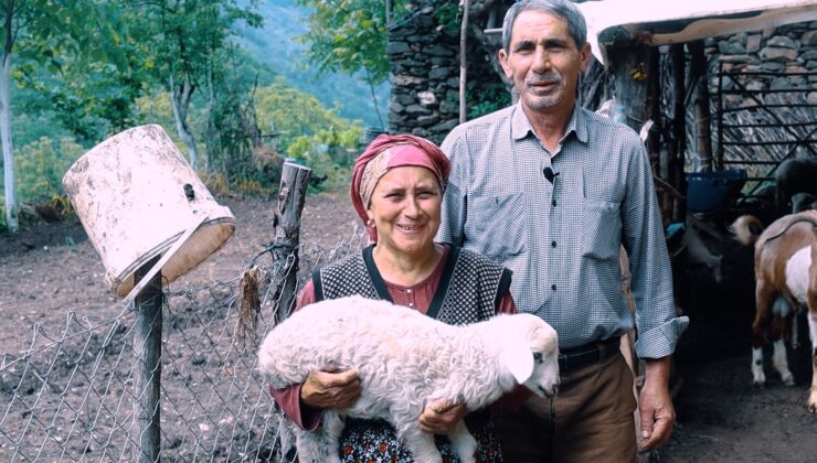 kadın üreticiler sürülerini büyütüyor